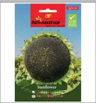 Sunflower seed1