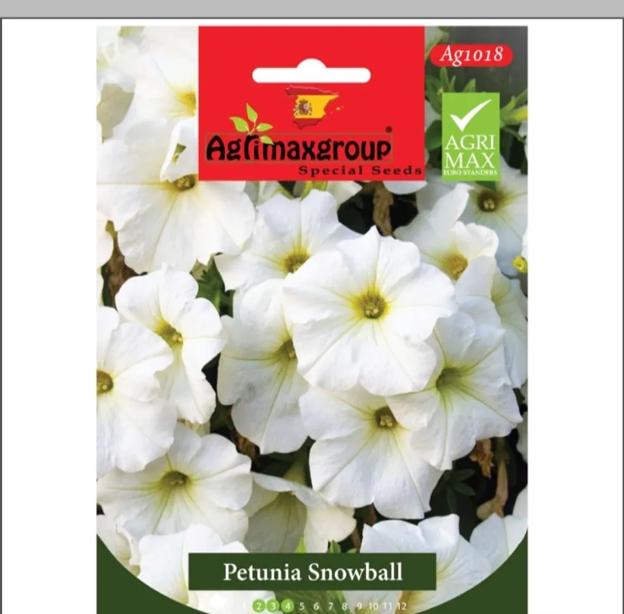 Petunia Snow Ball1