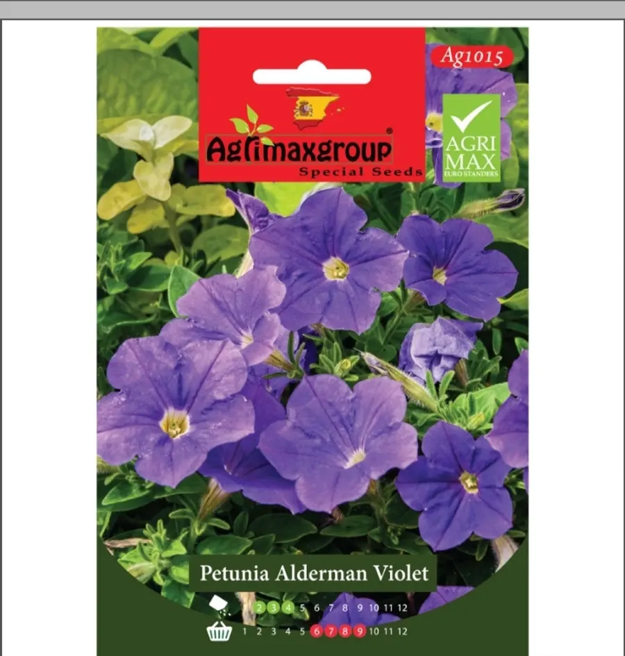 Petunia Alderman violet1