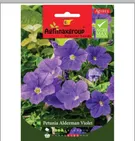 Petunia Alderman violet1