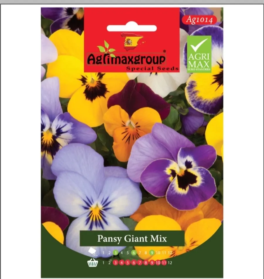 Pansy Giant Mix1