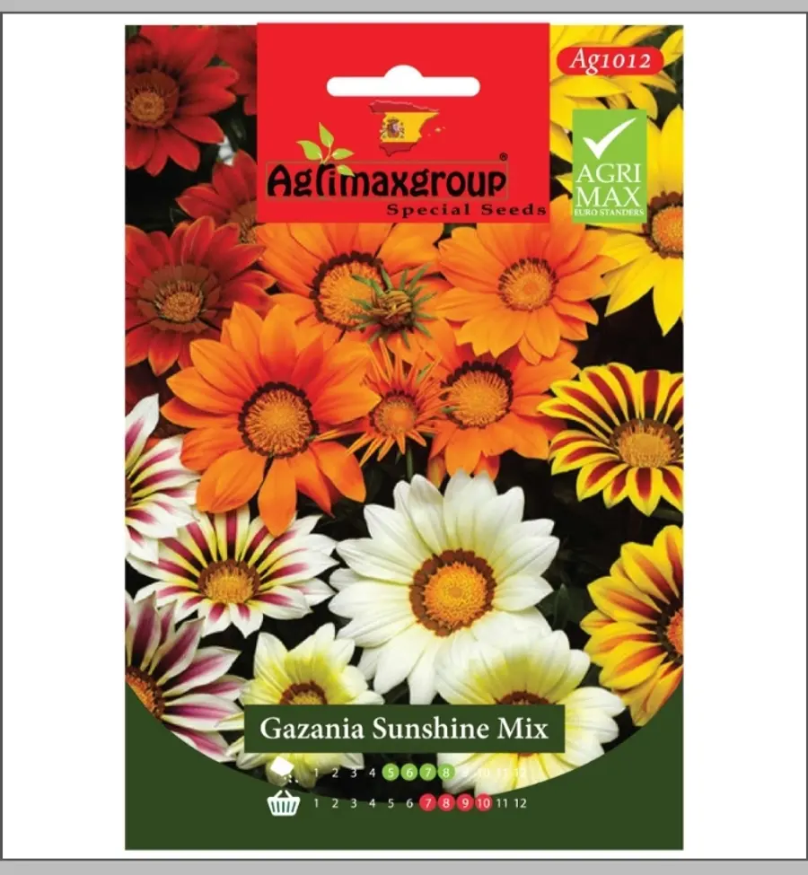 Gazania Sunshine Mix1