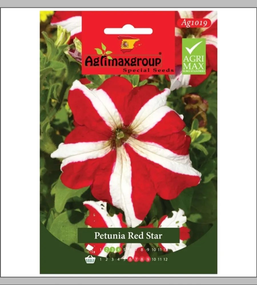 petunia-red-star-00611-a