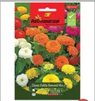 Zinnia Dhaliya Flower Mix1