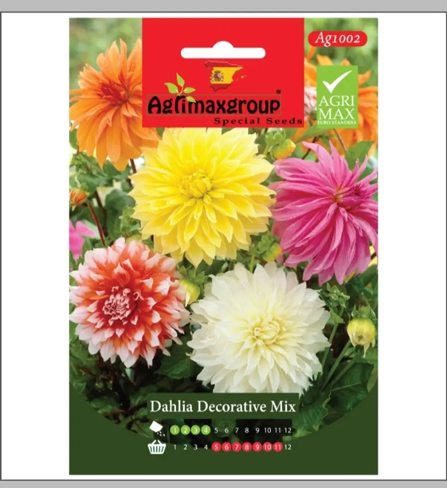 Dahlia Decorative Mix1
