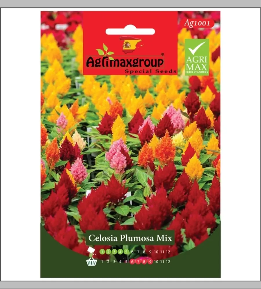 Celosia Plumosa Mix1