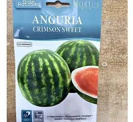 Water melon1
