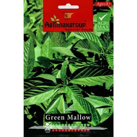 Green mallow seed1