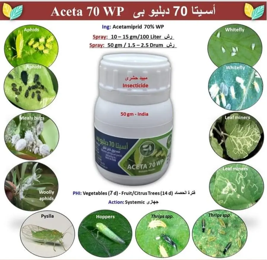 Aceta 70 WP (50grm)1