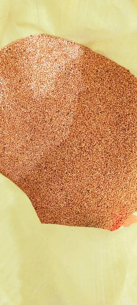 yellow-millet-1-kg-00650-a