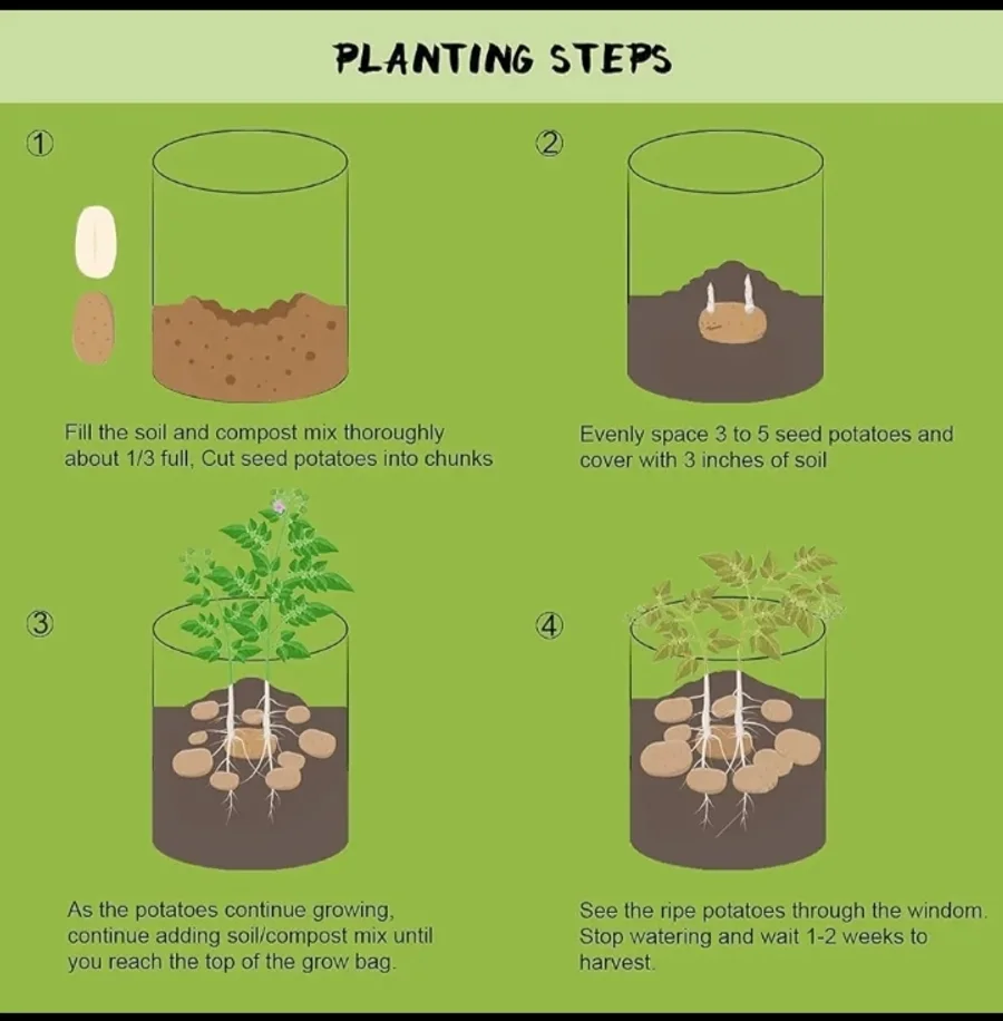 Grow Bag4