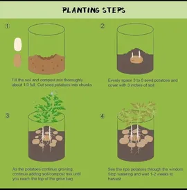 Grow Bag4