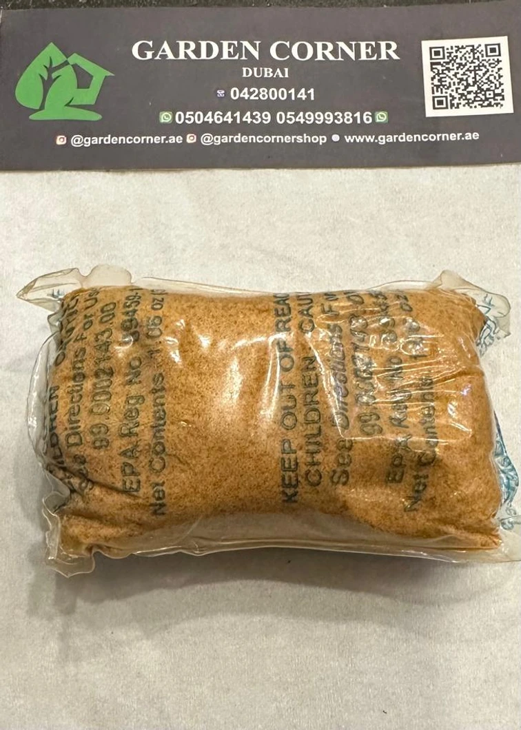 FLY TRAP WITH POWDER ATTRACTANT2