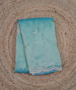 copper-shade-tissue-organza-silk-saree-00958-a