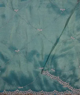 copper-shade-tissue-organza-silk-saree-00958-d