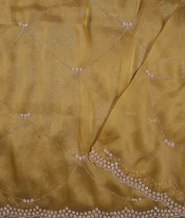 yellow-tissue-organza-silk-saree-hny00716-d