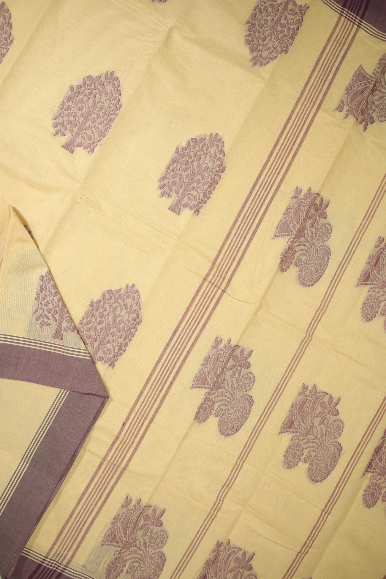 wheat-tree-coimbatore-cotton-saree-cbe000114-b