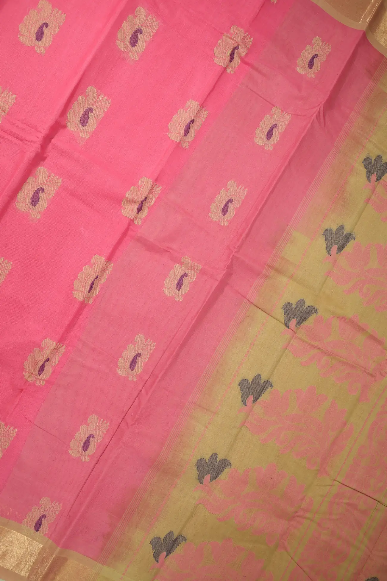 light-pink-mango-coimbatore-cotton-saree-cbe000363-b