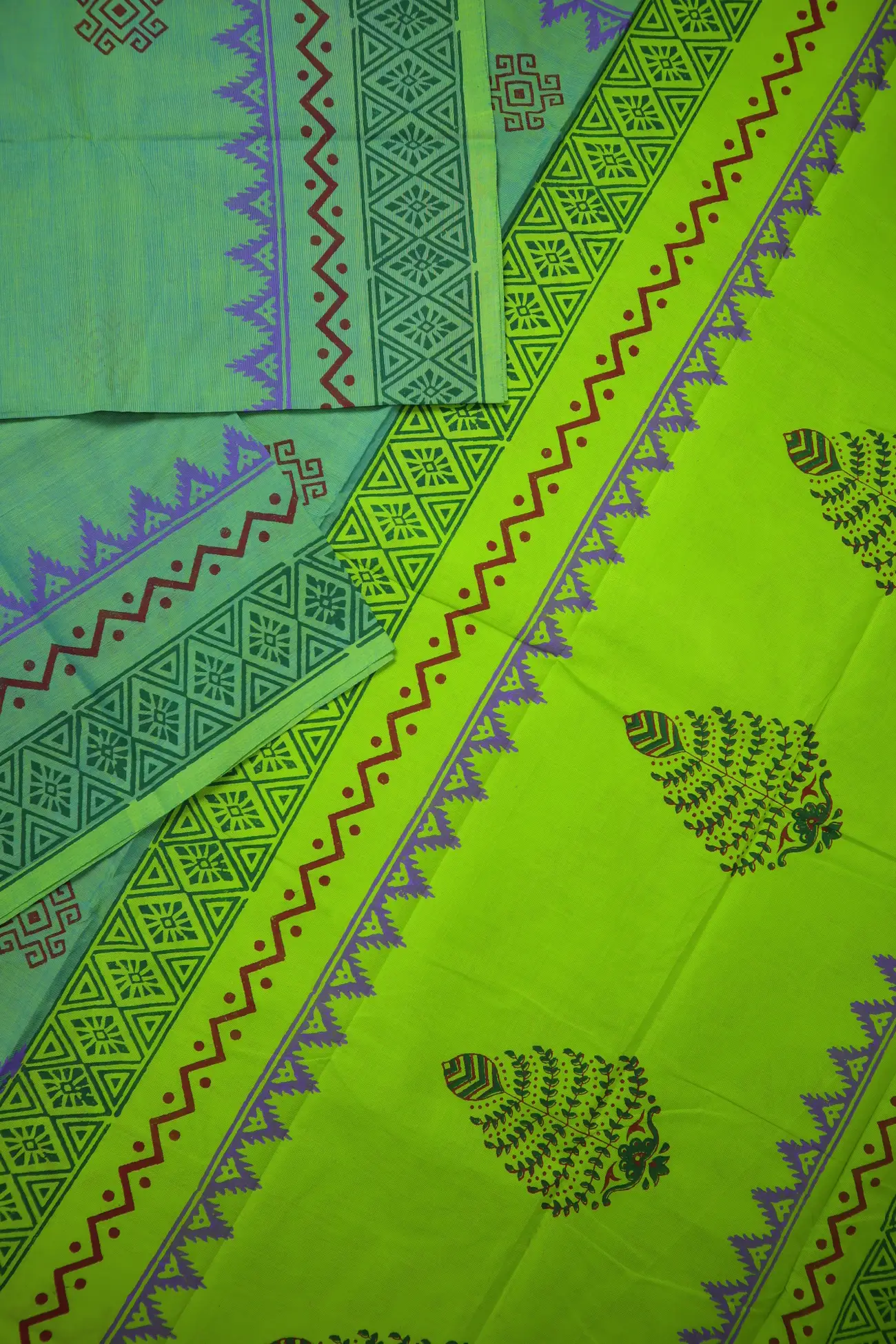light-green-flower-chettinad-printed-saree-cp000085-b