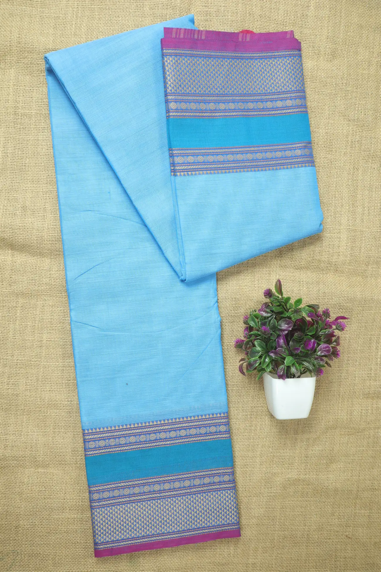 sky-blue-ruthratcham-malarkodi-saree-mk008355-a
