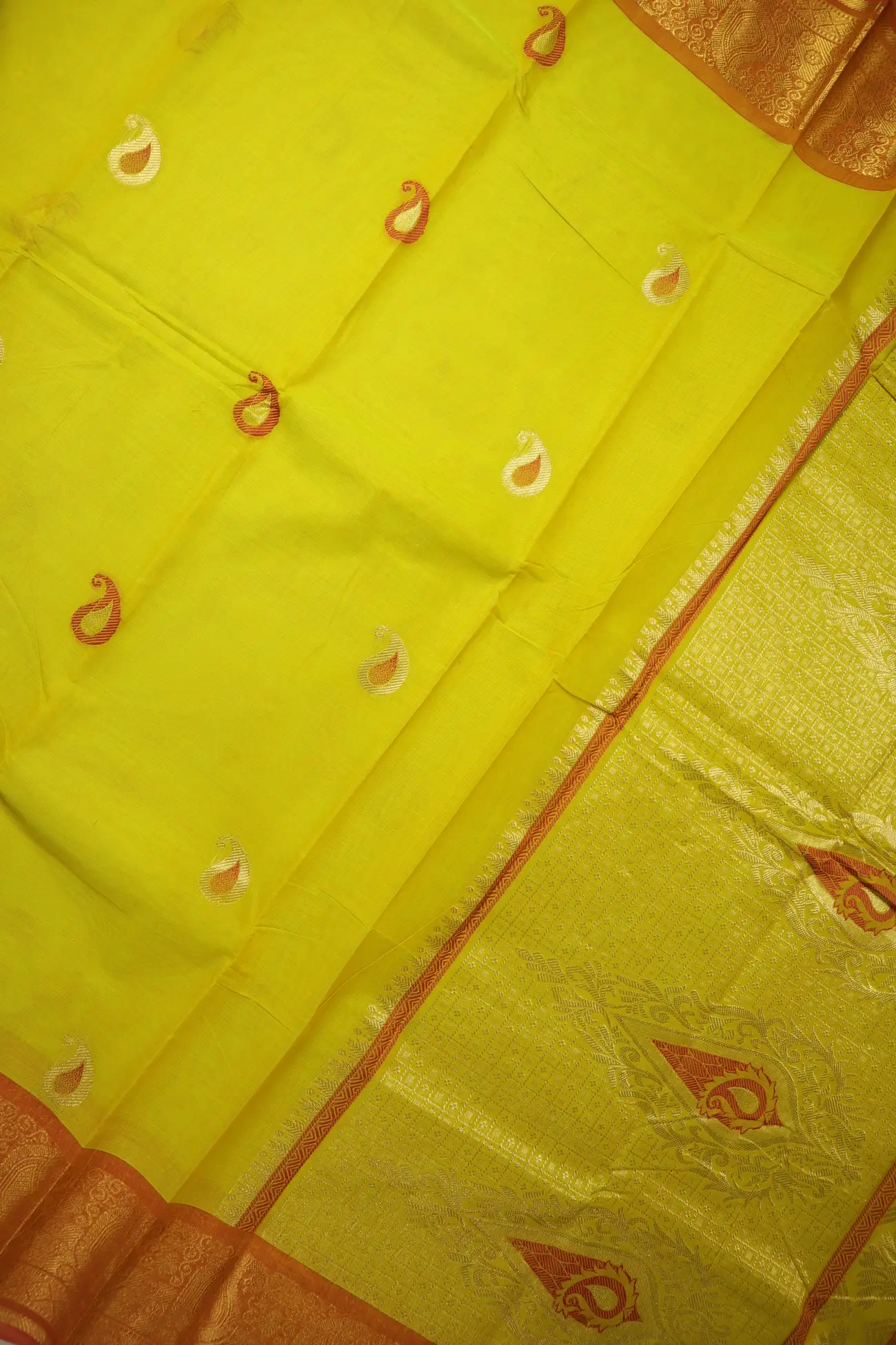 yellow-mango-kanchi-cotton-saree-uu005607-c