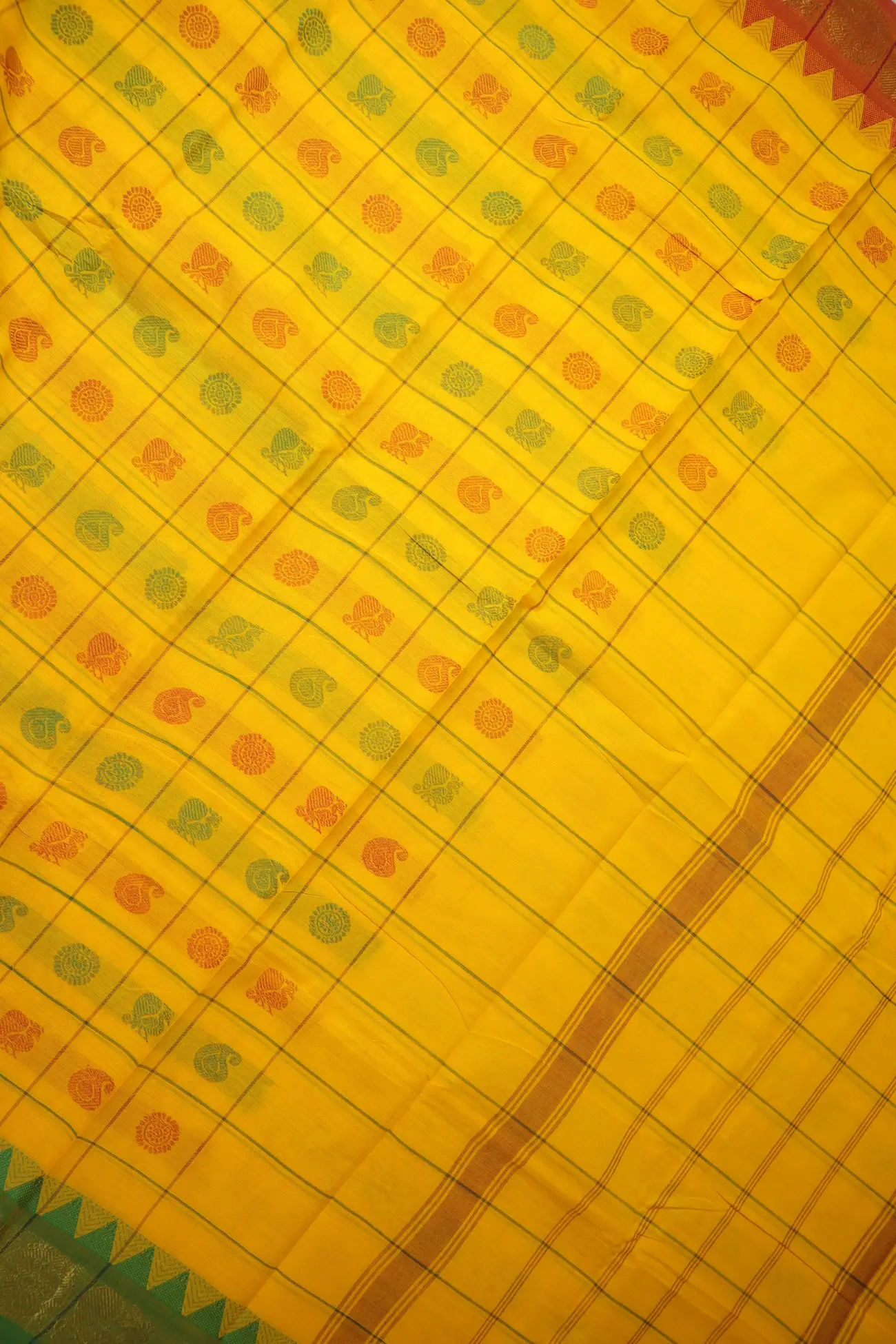 yellow-mango-kanchi-cotton-saree-uu005562-c