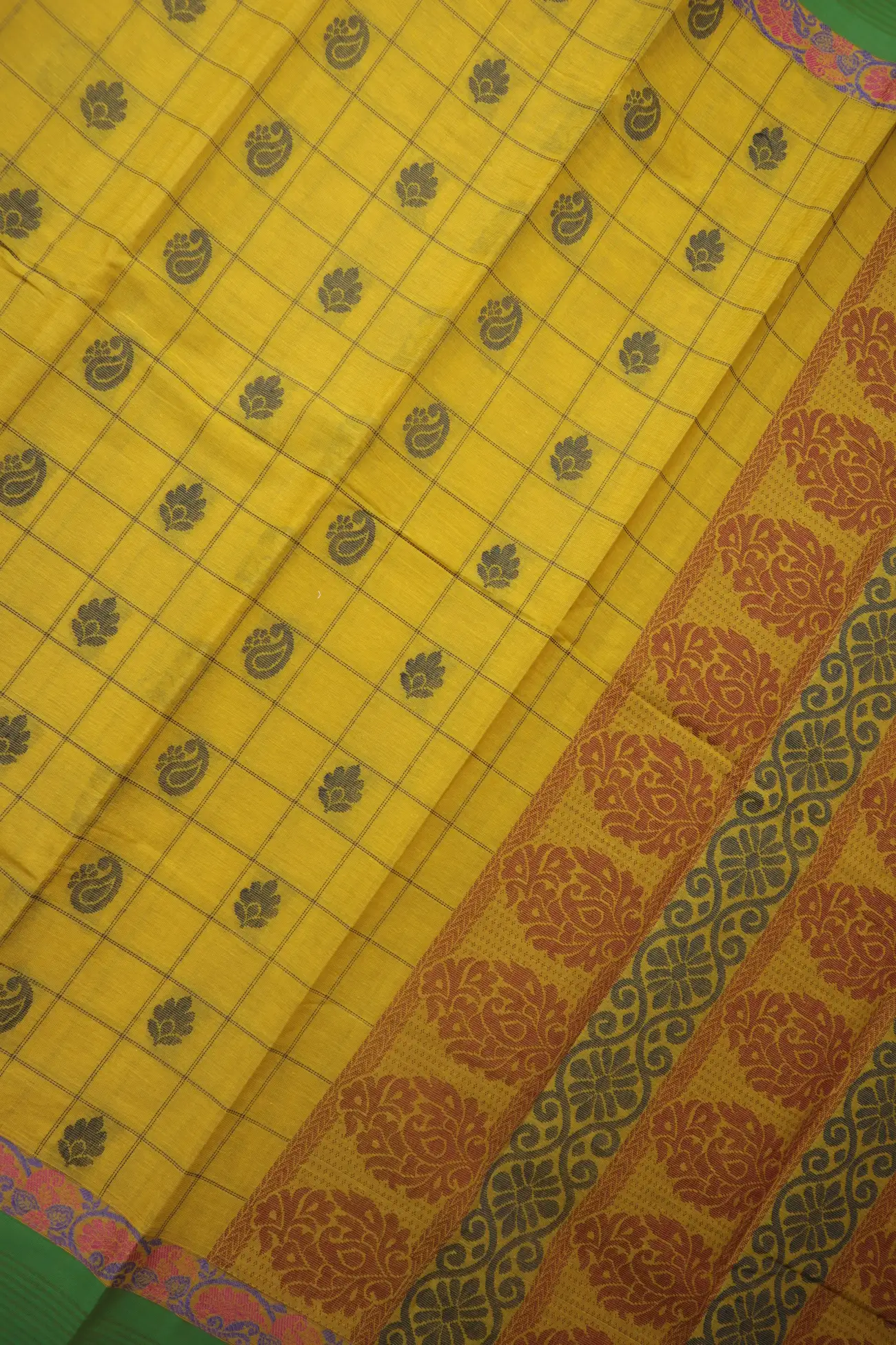 mustard-mango-coimbatore-cotton-saree-cbe000576-c