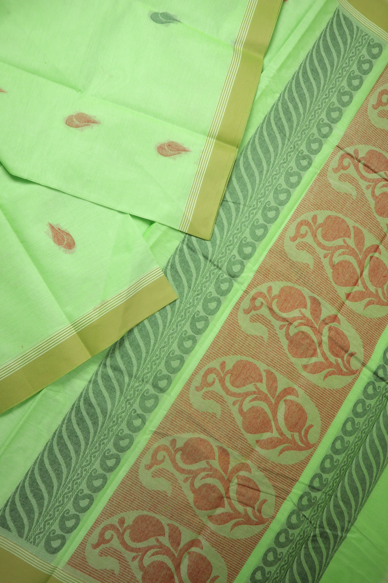 pale-green-sangu-poo-coimbatore-cotton-saree-cbe000560-b