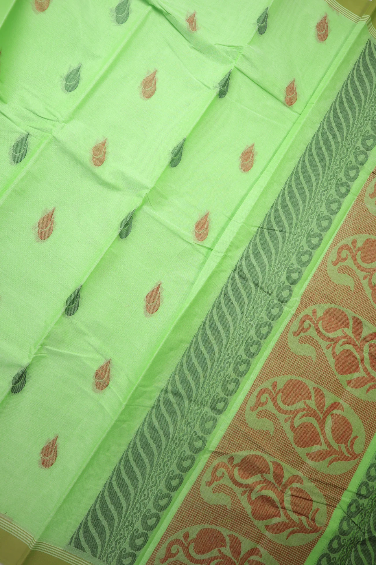 pale-green-sangu-poo-coimbatore-cotton-saree-cbe000560-c