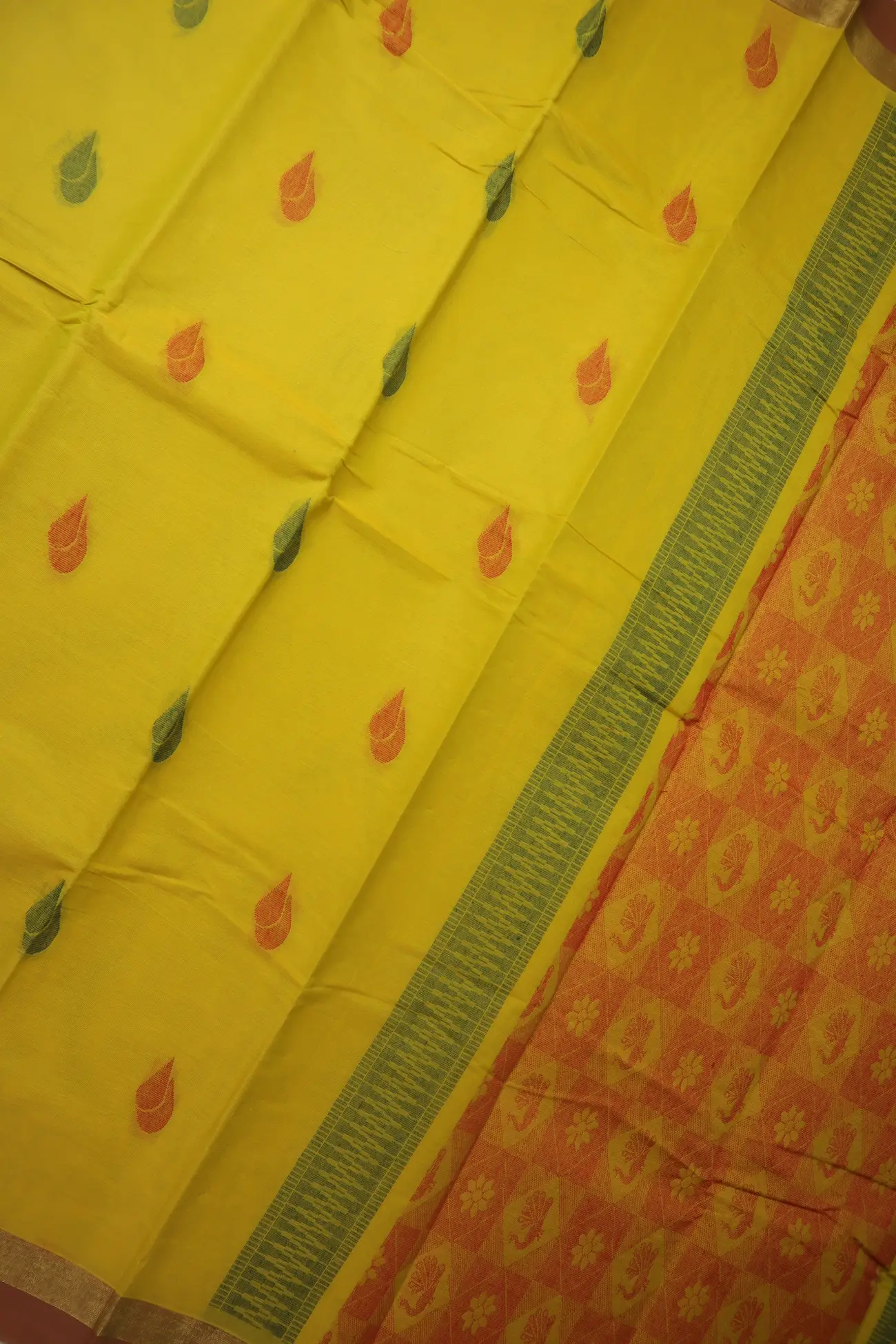 mustard-sangu-poo-coimbatore-cotton-saree-cbe000545-c