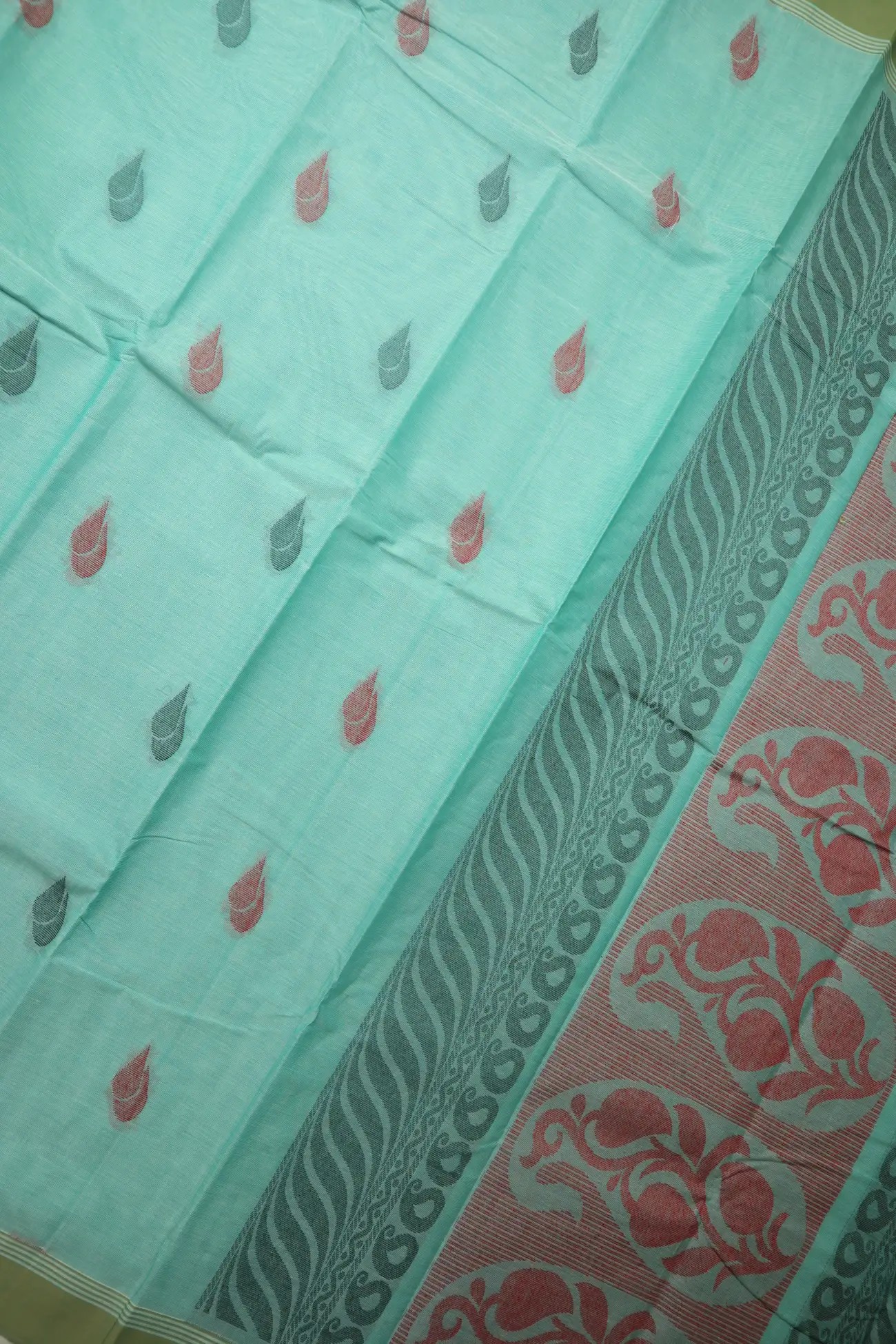 pale-turquoise-sangu-poo-coimbatore-cotton-saree-cbe000563-c