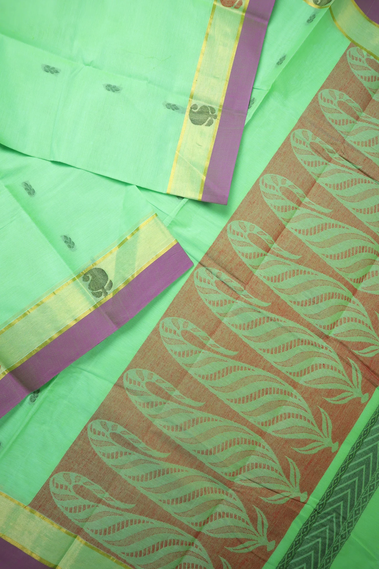 spring-green-mango-flower-coimbatore-cotton-saree-cbe000504-b