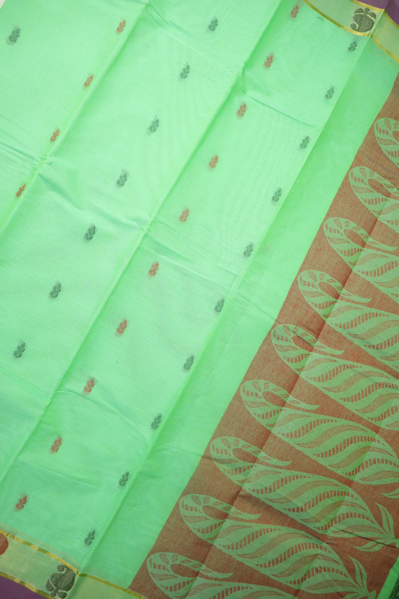 spring-green-mango-flower-coimbatore-cotton-saree-cbe000504-c