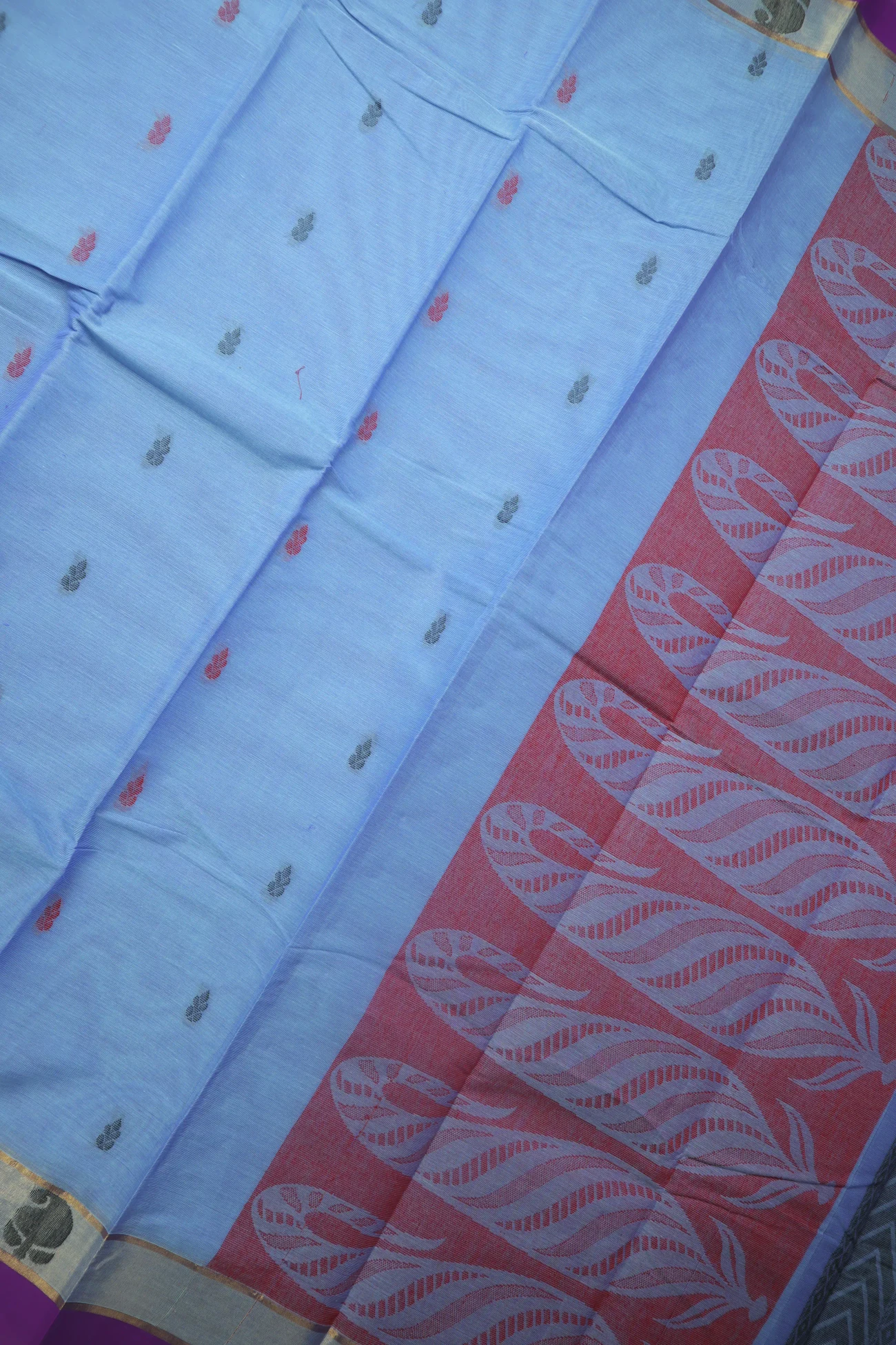 lavender-flower-mango-coimbatore-cotton-saree-cbe000506-c