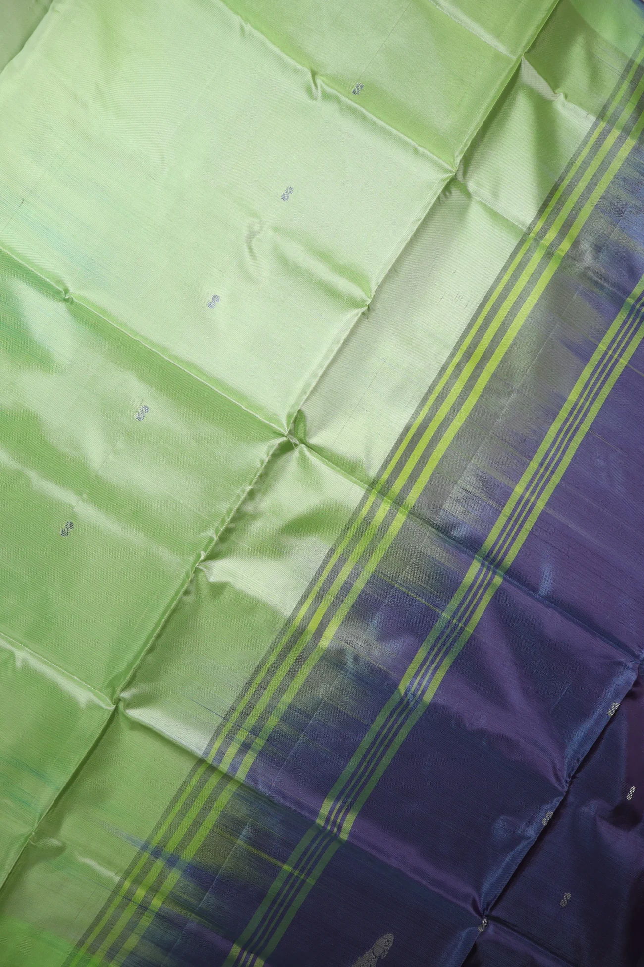 pista-green-parrot-banana-pith-silk-saree-bps000573-c