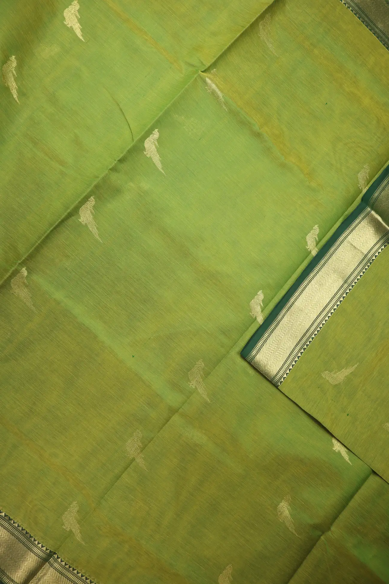 light-green-bavanji-border-mango-parrot-ruthratcham-kanchi-silk-cotton-saree-sc003085-c