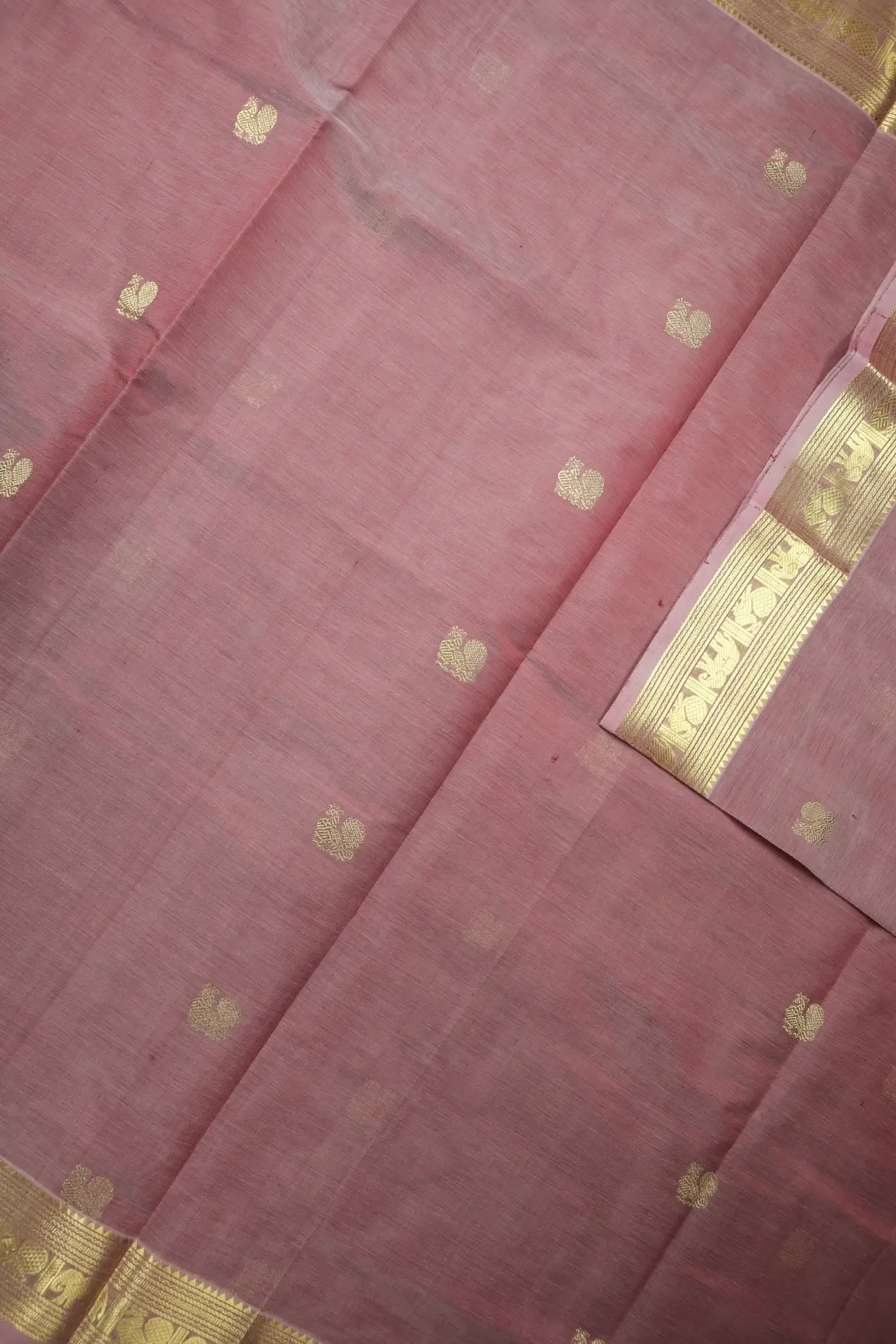 coral-peacock-elephant-kanchi-silk-cotton-saree-sc003091-d
