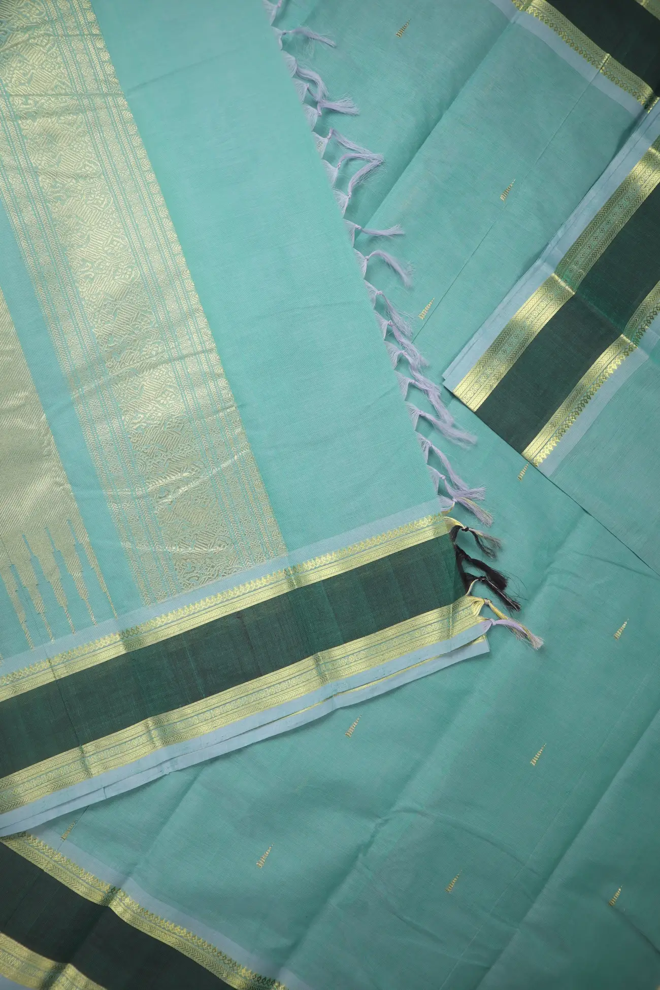 sky-blue-temple-rettai-pettu-ruthratcham-kanchi-cotton-saree-uu005696-c