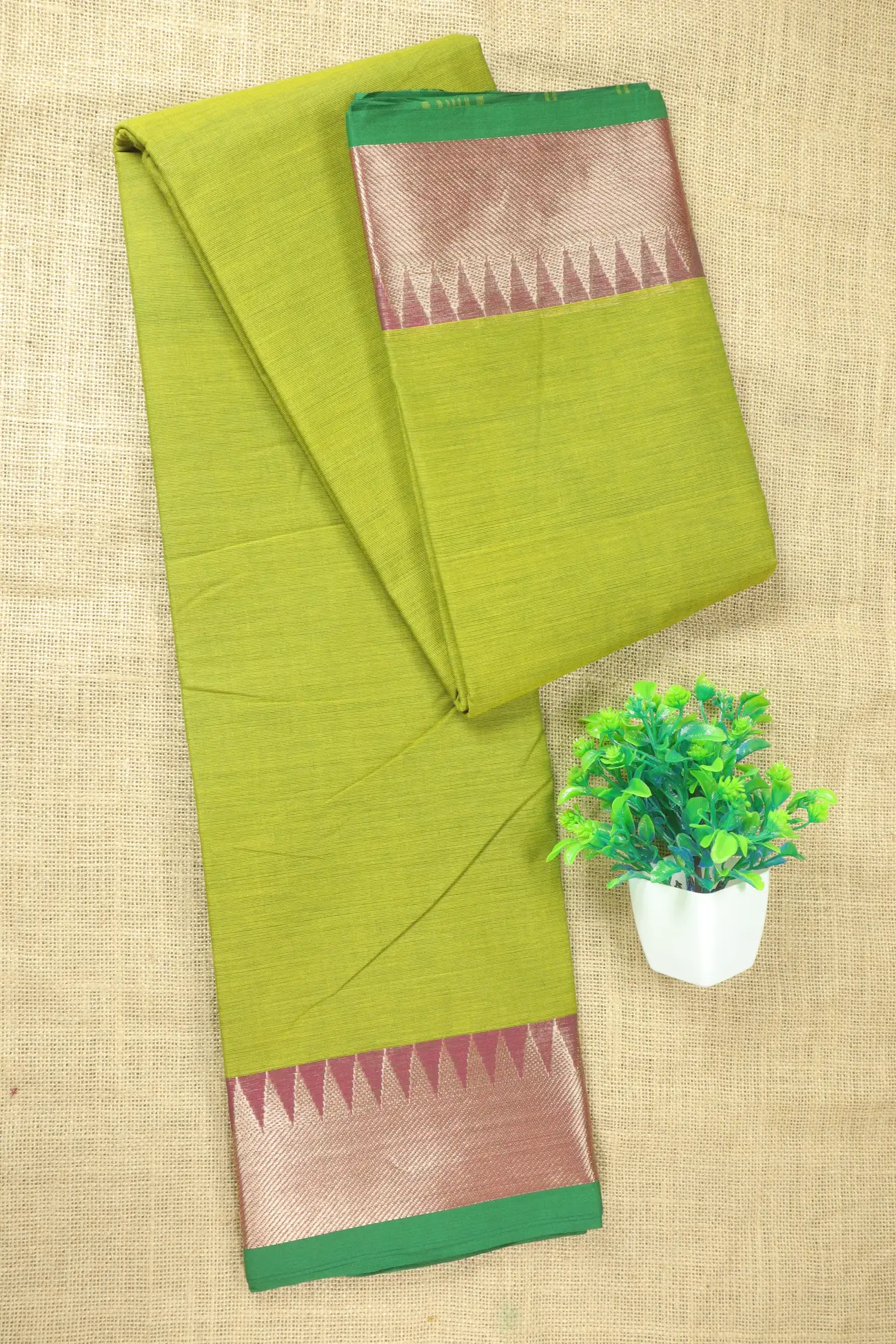 light-green-bavanji-border-temple-malarkodi-saree-mk008425-a