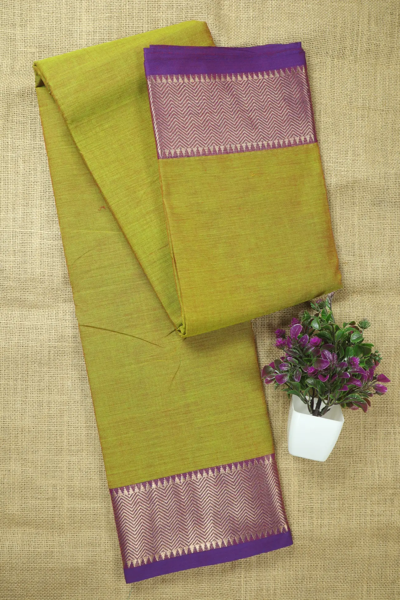 light-green-zigzag-malarkodi-saree-mk008420-a