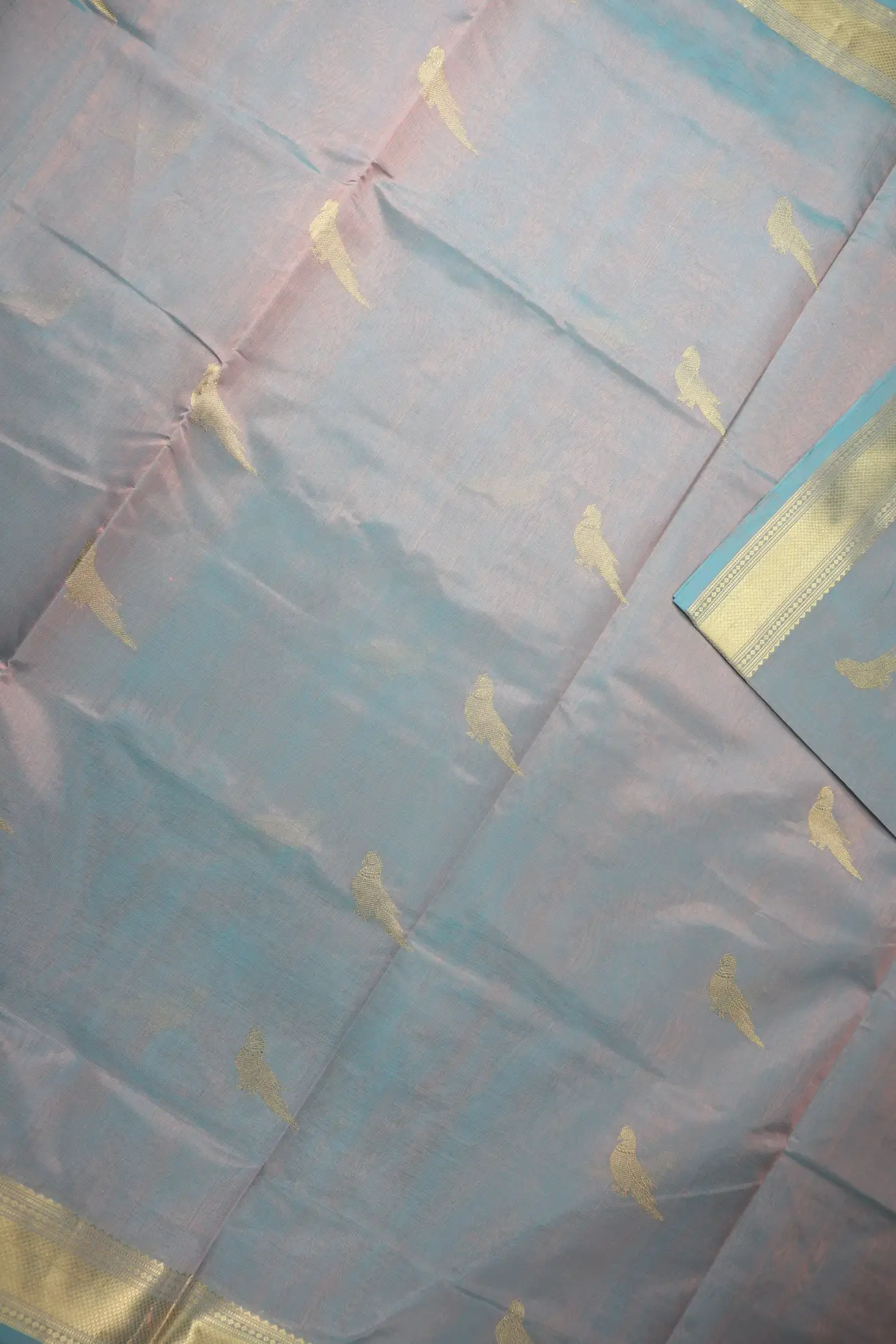 light-sky-blue-parrot-kanchi-silk-cotton-saree-sc003191-c