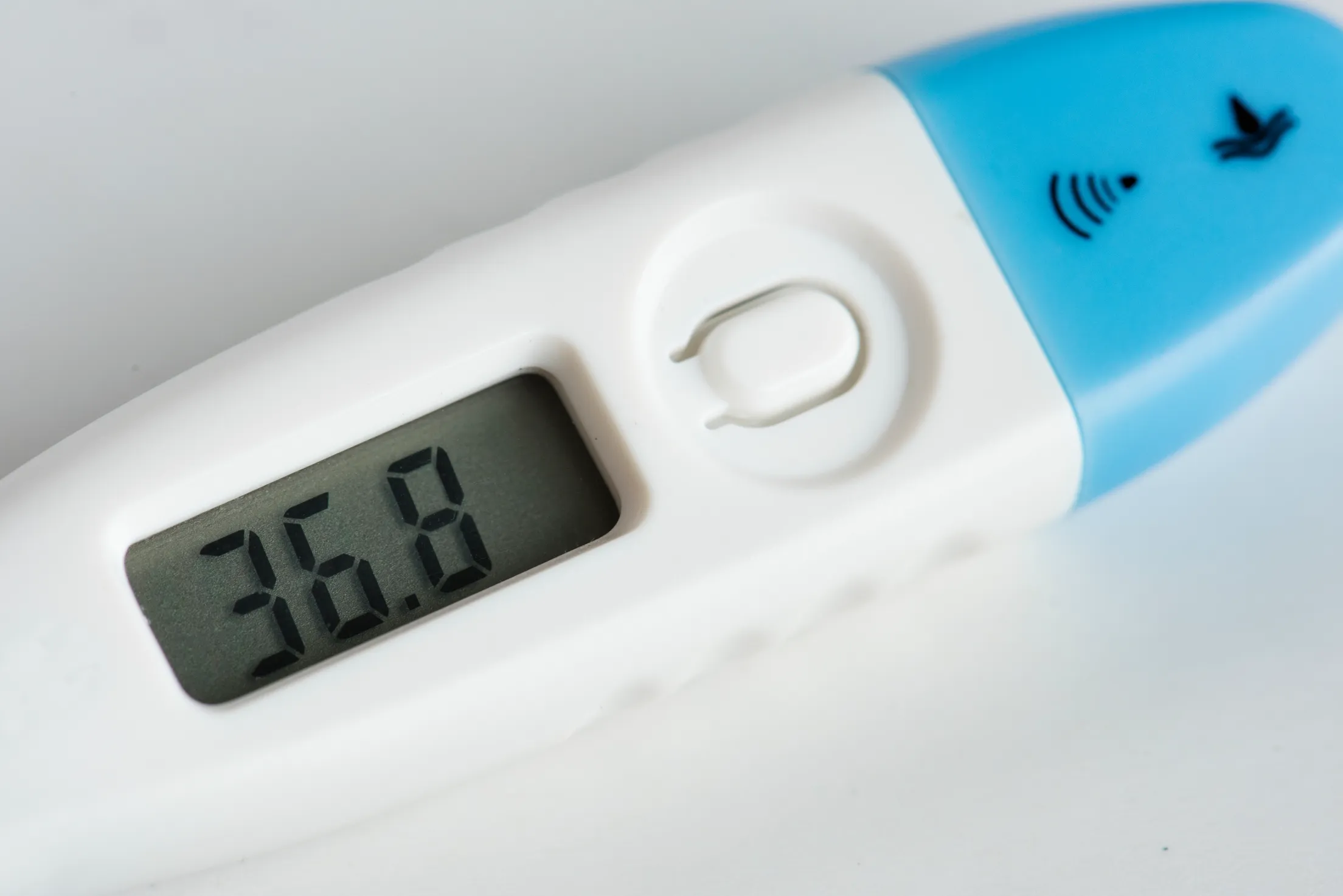 Fast and Reliable Digital Thermometers for All Your Needs