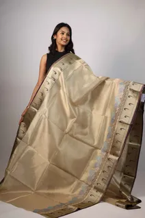 golden-brown-tissue-saree-sw00000239-a