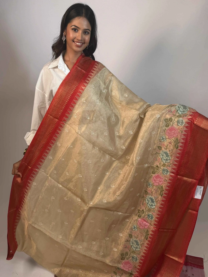 exquisite-tissue-saree-with-golden-red-embroidery-sw00000242-a