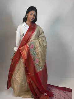 exquisite-tissue-saree-with-golden-red-embroidery-sw00000242-b