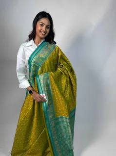 stunning-semi-lightweight-silk-saree-in-parrot-green-leaf-green-sw00000247-b