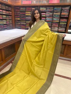 elegant-semi-tussar-saree-in-golden-yellow-and-green-sw00000315-a