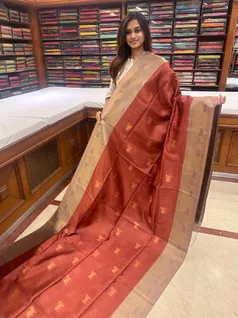 sophisticated-semi-tussar-saree-in-brown-and-grey-sw00000316-a