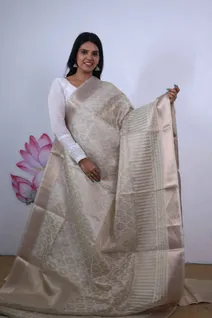 tissue-saree-in-ash-grey-with-intricate-thread-work-sw00000343-a