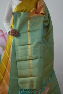 kanchi-silk-saree-in-cream-with-mustard-pista-green-ganga-jamuna-border-sw00000356-c